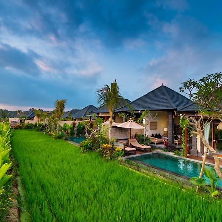 Bliss Ubud Spa Resort Εξωτερικό φωτογραφία