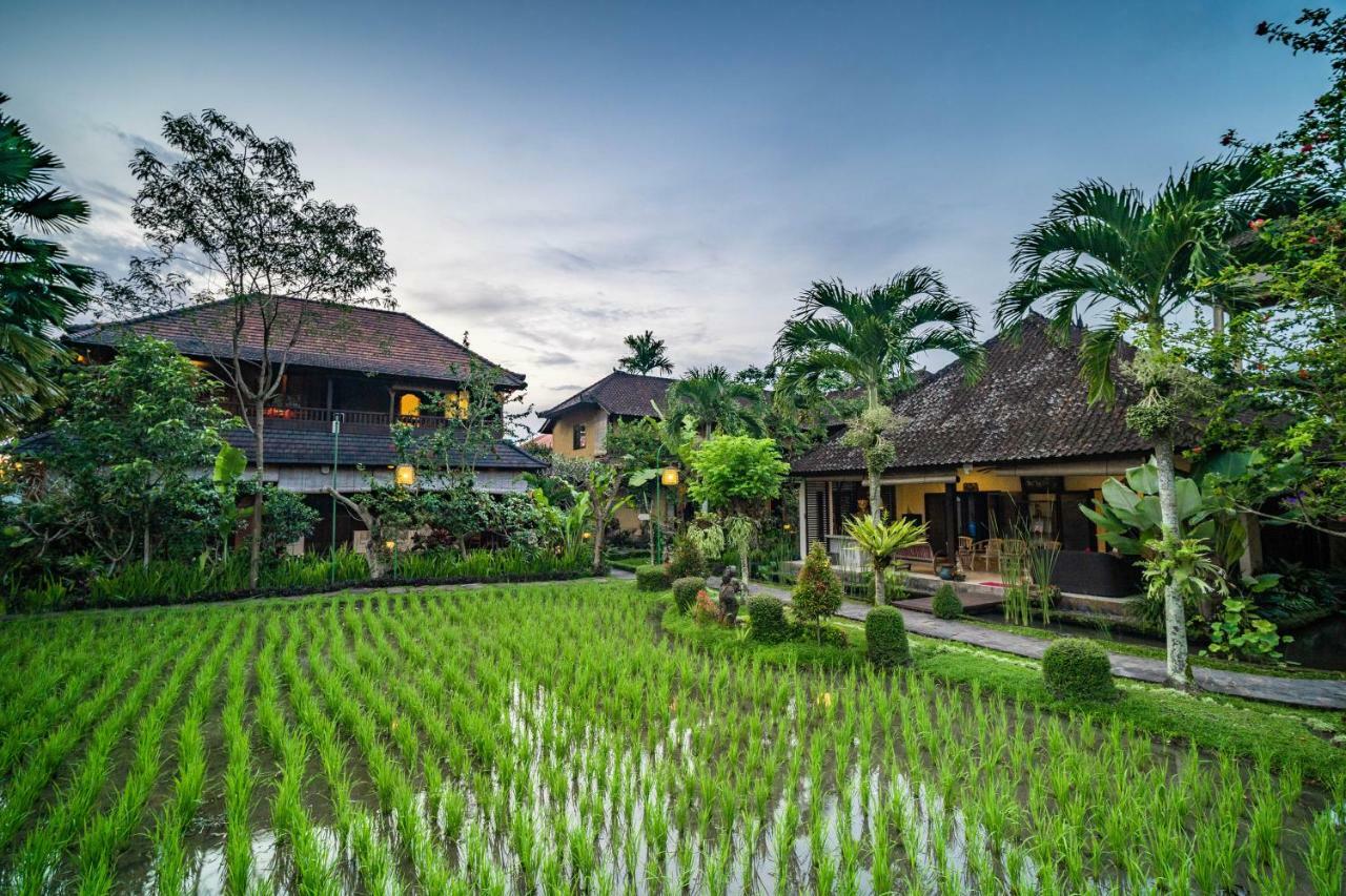 Bliss Ubud Spa Resort Εξωτερικό φωτογραφία