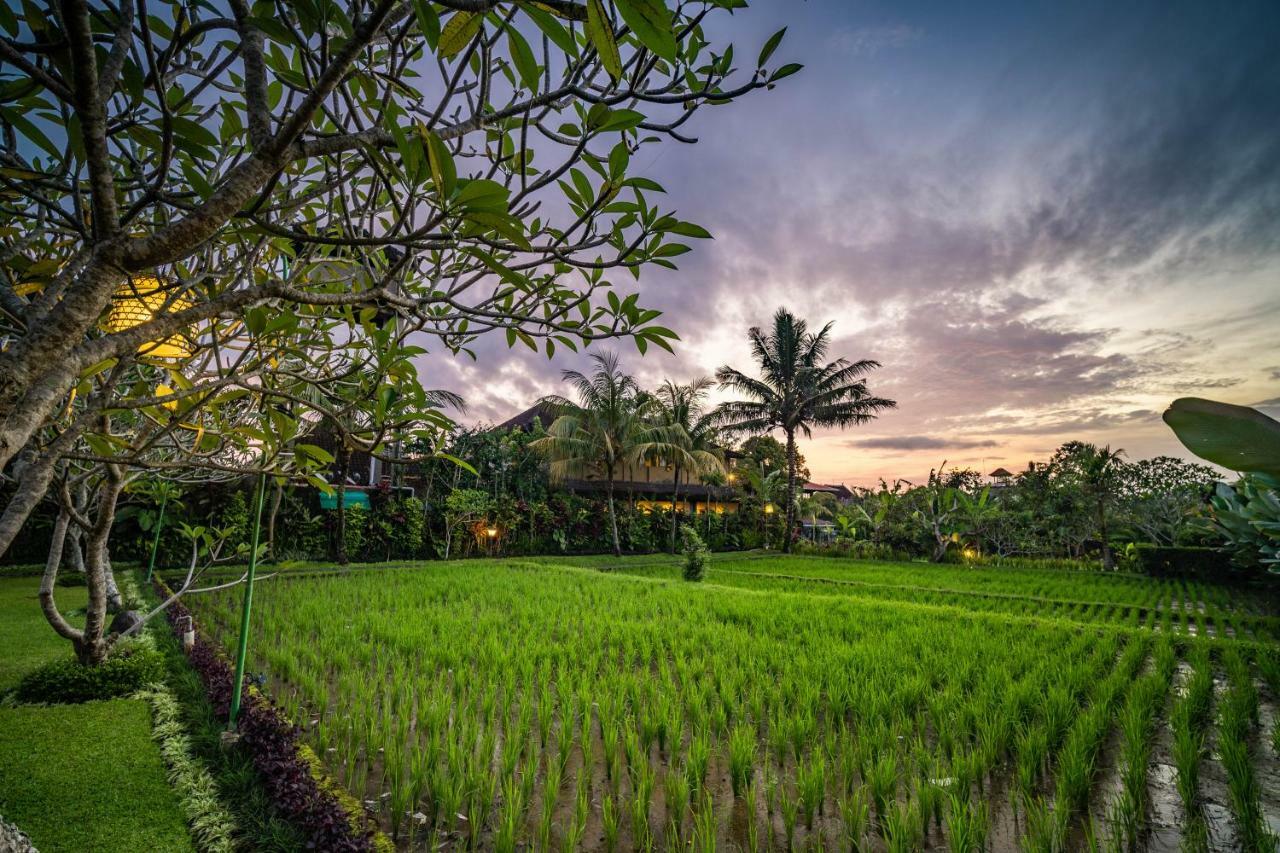 Bliss Ubud Spa Resort Εξωτερικό φωτογραφία