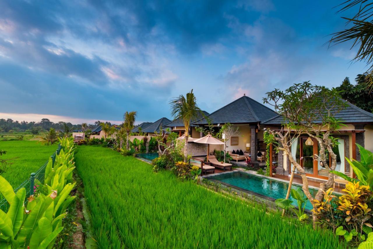 Bliss Ubud Spa Resort Εξωτερικό φωτογραφία